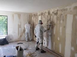 Best Mold Damage Restoration in Boyertown, PA